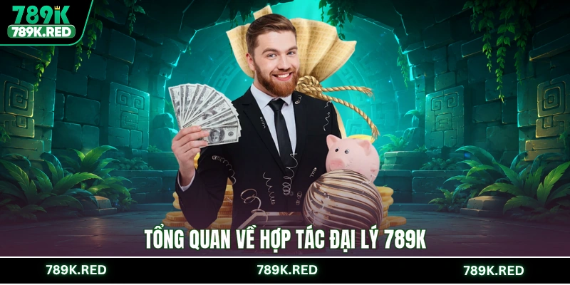Tổng quan về hợp tác đại lý 789K